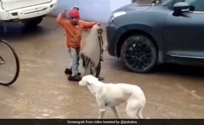 अपने छोटे भाई को बचाने के लिए कुत्ते से लड़ गया ये भाई, लोगों ने कहा- भाई हो तो ऐसा!