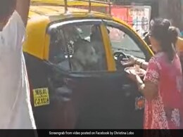 अचानक से कहीं लापता हो गया था डॉगी, वापस मिलने पर हुआ जोरदार स्वागत...देखें Video अचानक से कहीं लापता हो गया था डॉगी, वापस मिलने पर हुआ जोरदार स्वागत...देखें Video