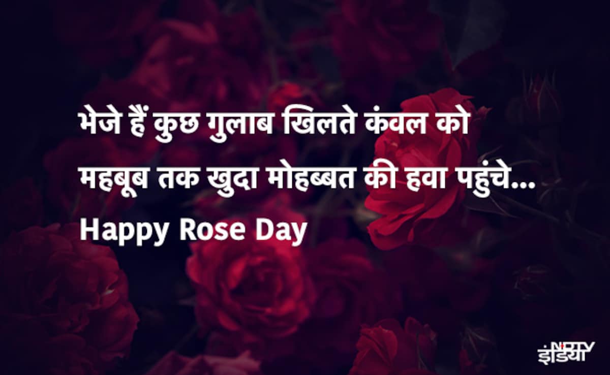 Latest and Breaking News on NDTV Latest and Breaking News on NDTV