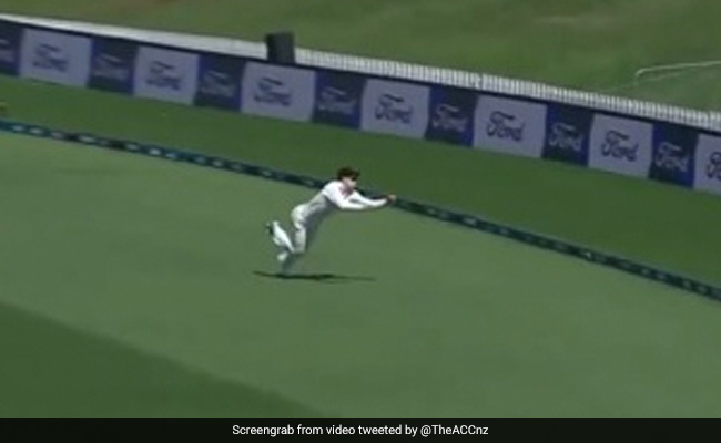 कीवी खिलाड़ी ने एक हाथ से गिरते हुए लिया 'unreal' कैच, इयान विशप भी चौंके, कहा, यह मुश्किल है..- Video