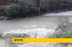 उत्तराखंड: चमोली में नदी में फंसी गाय को क्रेन की मदद से निकाला उत्तराखंड: चमोली में नदी में फंसी गाय को क्रेन की मदद से निकाला