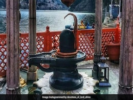 Vastu Plant : भोलेनाथ को करना है खुश तो इस दिन लगाएं काले धतूरे का पौधा, फिर देखिए कैसे पलटती है किस्मत Vastu Plant : भोलेनाथ को करना है खुश तो इस दिन लगाएं काले धतूरे का पौधा, फिर देखिए कैसे पलटती है किस्मत