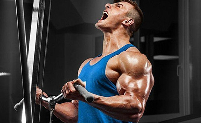 6 Best Testosterone Booster Supplements & Pills For USA In 2022