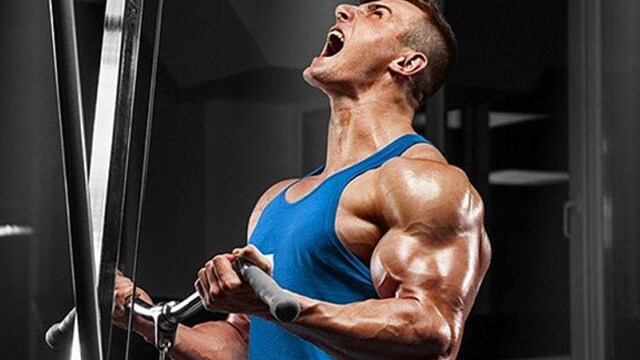Testosterone supplements help regulate fertility, red blood cell production and distribution of fat.