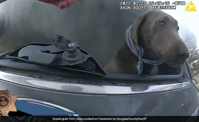 कार में बुरी तरह से लगी आग, अंदर बैठा था कुत्ता, देखते ही बचाने के लिए दौड़े पुलिसवाले और फिर...