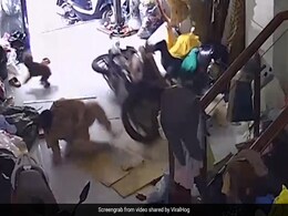 घर के लिविंग रूम में कुत्ते के साथ बैठी थी महिला, अचानक घुसी तेज़ रफ्तार बाइक, फिर जो हुआ Video देख खड़े हो जाएंगे रोंगटे घर के लिविंग रूम में कुत्ते के साथ बैठी थी महिला, अचानक घुसी तेज़ रफ्तार बाइक, फिर जो हुआ Video देख खड़े हो जाएंगे रोंगटे