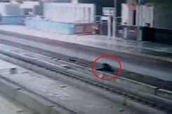 Man, Busy Scrolling On Phone, Falls On Delhi Metro Tracks Man, Busy Scrolling On Phone, Falls On Delhi Metro Tracks