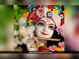 जन्माष्टमी पर इन भजनों के साथ करें कान्हा का स्मरण, प्रभु होंगे प्रसन्न, मिलेगा आशीर्वाद जन्माष्टमी पर इन भजनों के साथ करें कान्हा का स्मरण, प्रभु होंगे प्रसन्न, मिलेगा आशीर्वाद