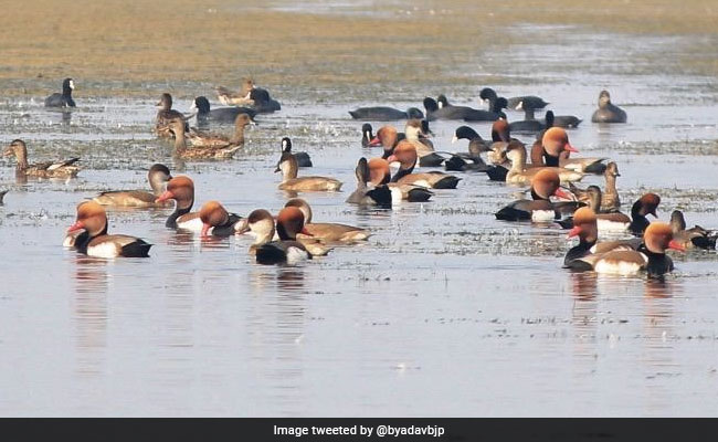 With 2 New Protected Wetlands, India Has Most Ramsar Sites In South Asia