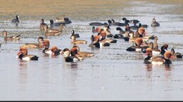 5 More Indian Wetlands Added To Ramsar List