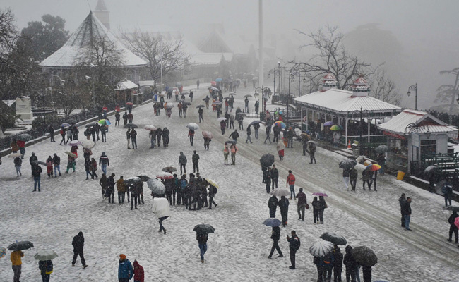 Snowfall In Shimla, Minimum Temperature 2.6 Degrees