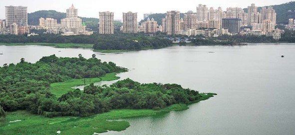 Discover 9 Scenic Lakes in and around Mumbai