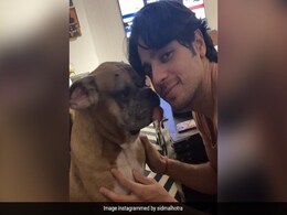 सिद्धार्थ मल्होत्रा के 11 साल के दोस्त ने तोड़ा दाम, Sad एक्टर को आ रही है ऑस्कर की याद  सिद्धार्थ मल्होत्रा के 11 साल के दोस्त ने तोड़ा दाम, Sad एक्टर को आ रही है ऑस्कर की याद