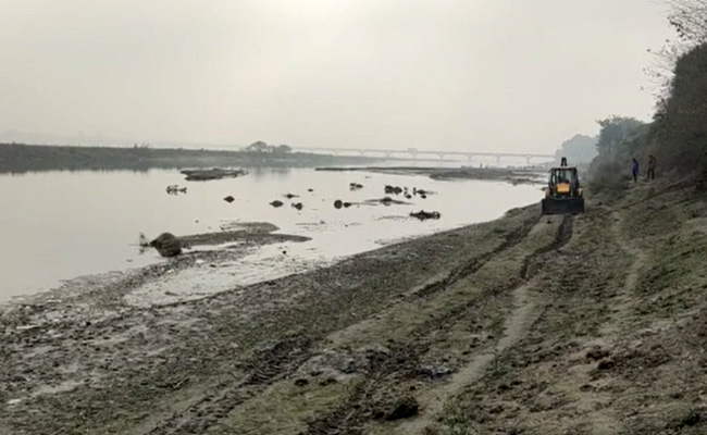 उत्तर प्रदेश : कन्नौज की काली नदी में बड़ी संख्या में मवेशियों के शव मिले
