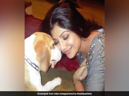 इस फैमिली मेंबर के जाने से बेहद दुखी हैं Shilpa Shetty, इंस्टाग्राम पर शेयर किया बहुत ही इमोशनल पोस्ट इस फैमिली मेंबर के जाने से बेहद दुखी हैं Shilpa Shetty, इंस्टाग्राम पर शेयर किया बहुत ही इमोशनल पोस्ट