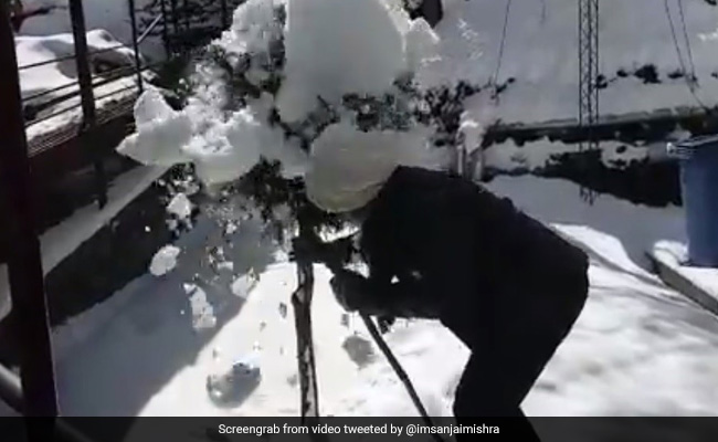 बर्फीली वादियों में नेचर का मजा लेते नजर आए संजय मिश्रा, पेड़ से हटाई बर्फ तो हुआ कुछ ऐसा