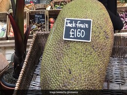 16 हजार रुपये में क्यों बिक रहा है एक कटहल? जानिए इसके पीछे की वजह 16 हजार रुपये में क्यों बिक रहा है एक कटहल? जानिए इसके पीछे की वजह