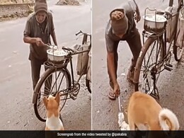 बुजुर्ग शख्स ने भूखे कुत्ते को खिलाया खाना, वीडियो देख हर कोई करने लगा तारीफ बुजुर्ग शख्स ने भूखे कुत्ते को खिलाया खाना, वीडियो देख हर कोई करने लगा तारीफ