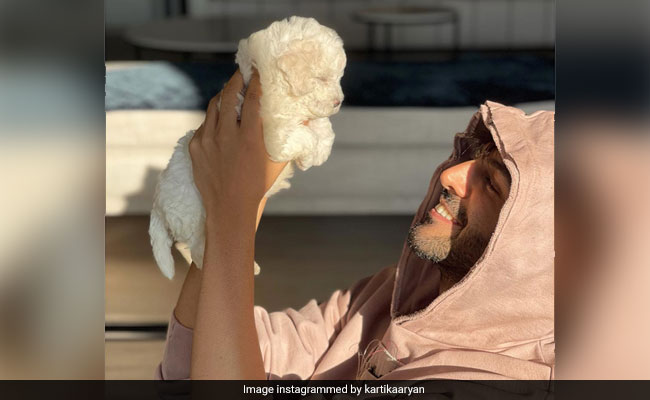 Kartik Aaryan Is "In Love Again." Can't Blame Him Though