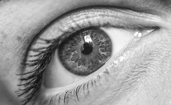 3 Live Botflies Removed From American Woman's Eye At Delhi Hospital
