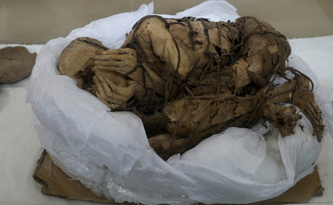 1,200-Year-Old Remains Of Sacrificed Adults, Children Unearthed In Peru