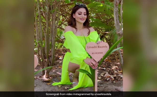 उर्वशी रौतेला ने जन्मदिन पर लगाया पौधा, फोटो देख कर फैंस बोले - दिल जीत लिया