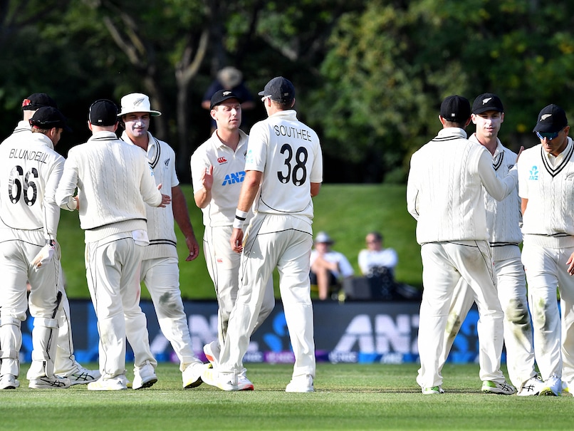 New Zealand vs South Africa, 2nd Test, Day 2: Highlights