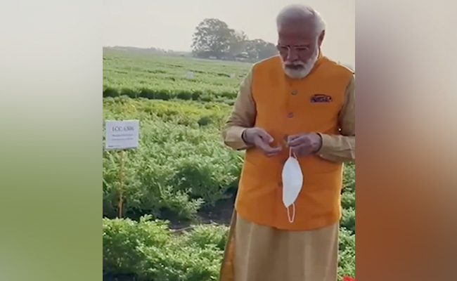 Watch: PM Modi Stops At Research Farm In Hyderabad To Eat '<i>Chana</i>'