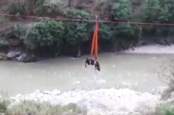 Cow Stuck At Bank of River Rescued In Uttarakhand Cow Stuck At Bank of River Rescued In Uttarakhand