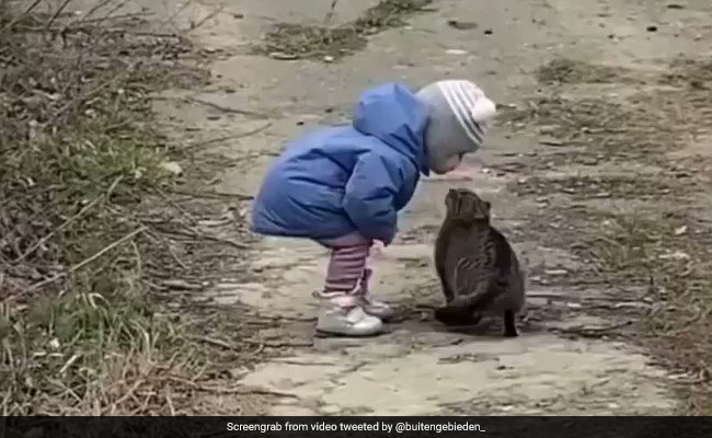 बिल्ली को बार-बार Kiss कर रहा था छोटा बच्चा, फिर बैठकर खूब किया दुलार, Video ने जीता लोगों का दिल