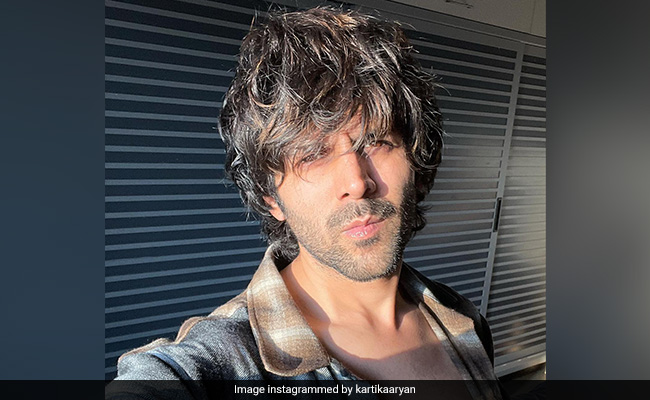 Kartik Aaryan Looks 'Ati Sun-Dar' In New Sunkissed Selfie