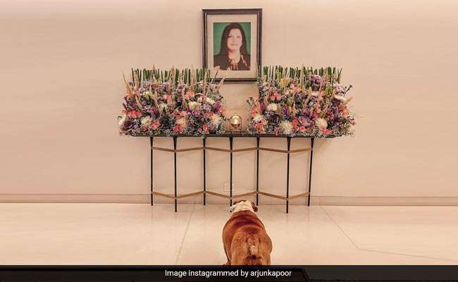 On Mona Shourie's Birth Anniversary, Arjun Kapoor And Anshula Remember Their Mother