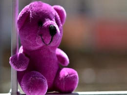 Happy Teddy Day 2022: कौन से रंग के टेडी बियर का क्या मतलब होता है? जानें उन्हें कौन से कलर का टेडी गिफ्ट करें Happy Teddy Day 2022: कौन से रंग के टेडी बियर का क्या मतलब होता है? जानें उन्हें कौन से कलर का टेडी गिफ्ट करें