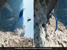 पैराग्लाइडिंग कर रहे शख्स ने किया हैरतअंगेज स्टंट,  सोशल मीडिया पर छाया वीडियो पैराग्लाइडिंग कर रहे शख्स ने किया हैरतअंगेज स्टंट,  सोशल मीडिया पर छाया वीडियो
