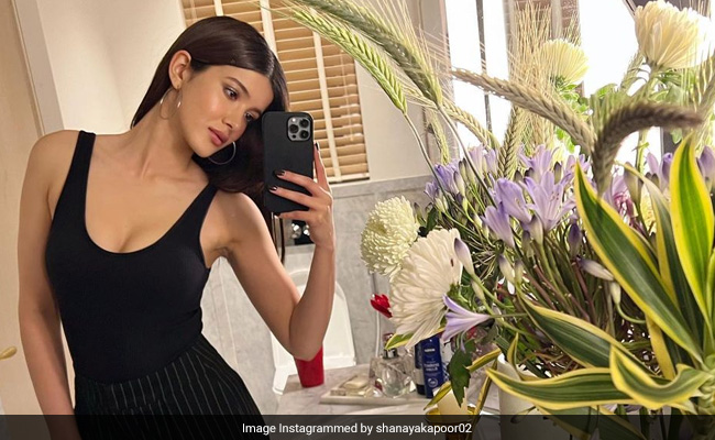 Shanaya Kapoor Will Explain Her "Purple Devil Emoji" Mood. But First, Let Her Take A Selfie