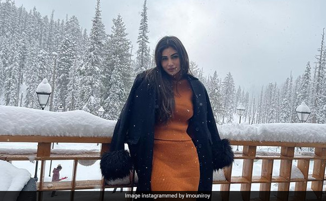 Mouni Roy Is In A Winter Wonderland For Her Honeymoon. Guess The Location