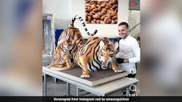 Pastry Chef Makes Giant Tiger Sculpture With Chocolate; Leaves Internet Amazed