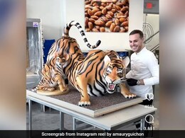 Pastry Chef Makes Giant Tiger Sculpture With Chocolate; Leaves Internet Amazed
