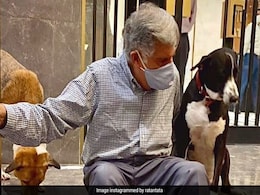 कौन है 'गोवा'? जो रतन टाटा के साथ अटेंड करता है मीटिंग्स, कभी सड़कों पर आवारा घूमता था कौन है 'गोवा'? जो रतन टाटा के साथ अटेंड करता है मीटिंग्स, कभी सड़कों पर आवारा घूमता था