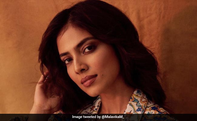 Malavika Mohanan Shreds Media Portal For Posting "Fake Vulgar" Morphed Pic