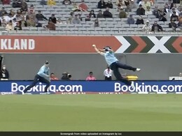 Watch: Heather Knight Takes Jaw-Dropping One-Handed Catch In ICC Women's World Cup Match vs New Zealand Watch: Heather Knight Takes Jaw-Dropping One-Handed Catch In ICC Women's World Cup Match vs New Zealand