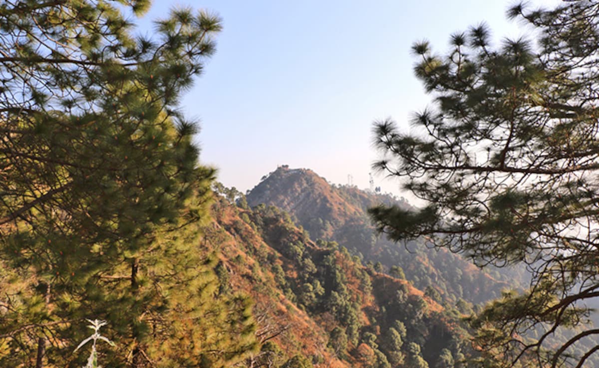 Kasauli