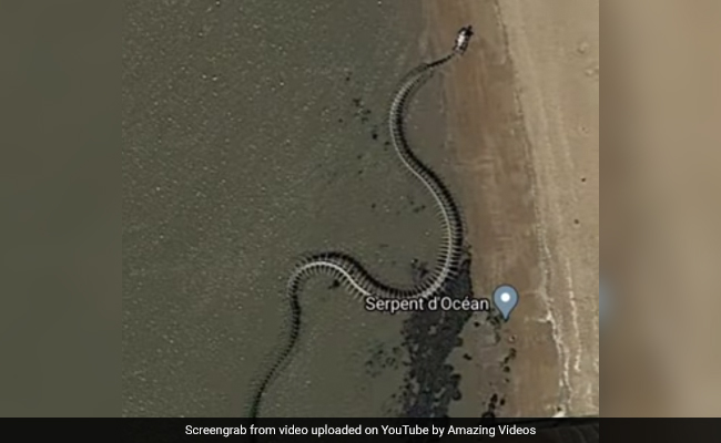 Titanoboa: All About Giant Extinct Snake Species Made Famous By Internet