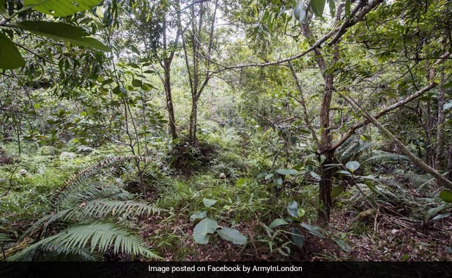 इस जंगल में छिपे हैं आर्मी के 1-2 नहीं, पूरे 12 जवान, खोज कर दिखाइए जनाब!