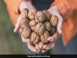 National walnut day 2023 : हर दिन एक मुट्ठी भिगाएं अखरोट, पूरे परिवार के साथ खाएं, सेहत रहेगी दुरुस्त National walnut day 2023 : हर दिन एक मुट्ठी भिगाएं अखरोट, पूरे परिवार के साथ खाएं, सेहत रहेगी दुरुस्त