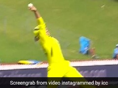 Watch: These 2 Incredible Catches At Women's World Cup Will Blow Your Mind