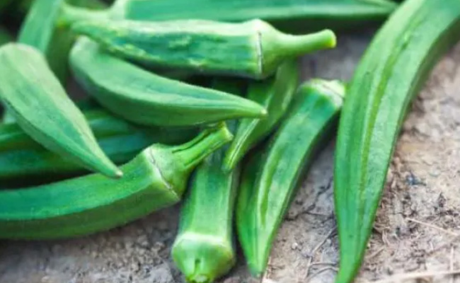 The fibre content in okra promotes satiety, which can reduce overall calorie intake