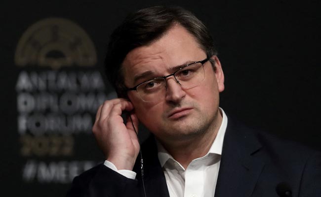 "Haven't Seen Significant Withdrawal Of Forces": Ukraine Minister To NDTV