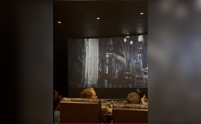 सिनेमा हॉल में The Batman देख रहे थे दर्शक, तभी हो गई असली चमगादड़ की एंट्री- देखें वीडियो