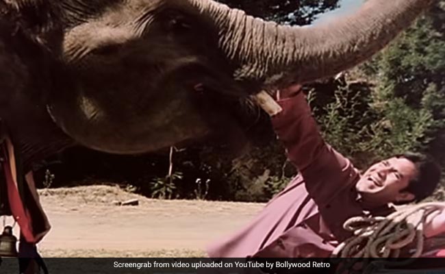 बॉलीवुड की वो सुपरहिट फिल्में जिसे जानवरों ने बना दिया यादगार